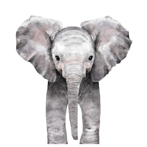 Baby Animal Elephant by Cass Loh - Animal Arts for Baby Nursery