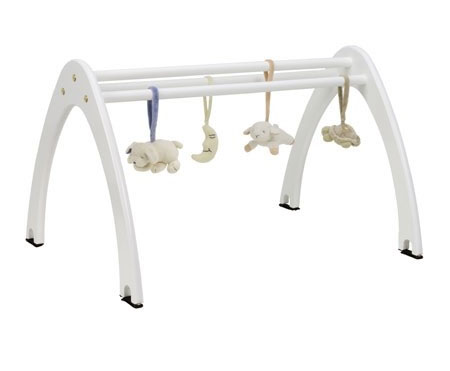 Cariboo Activity Gym