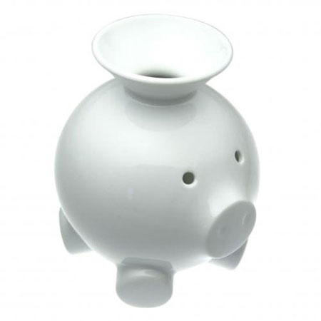Coink Piggy Bank