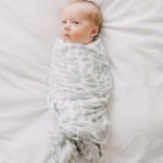 Super Soft Classic Set of 3 Dottie Bee Organic Muslin Swaddle Blankets
