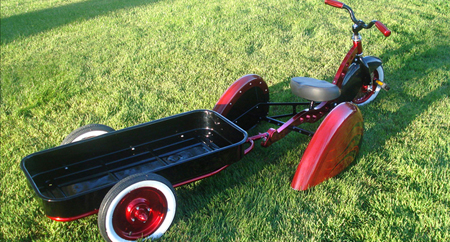 Enzo Trike with Buddy Wag