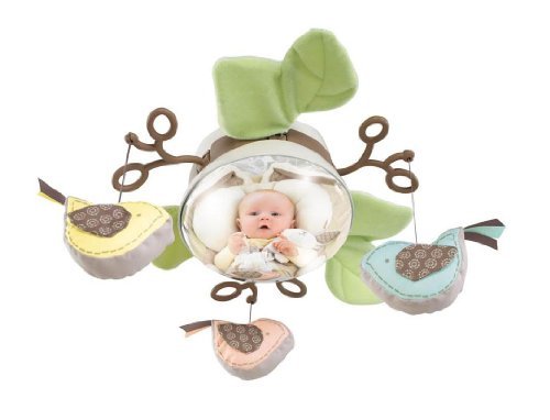 Fisher-Price My Little Snugabunny Cradle and Swing