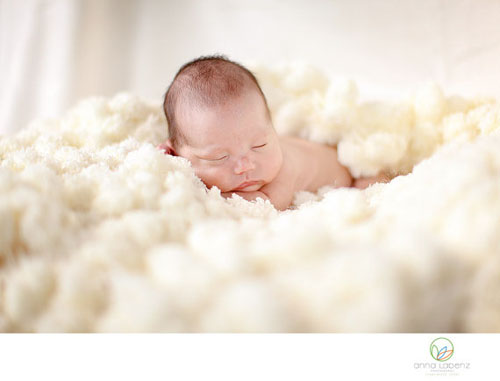 MarshMallow PuffPelts popcorn blanket