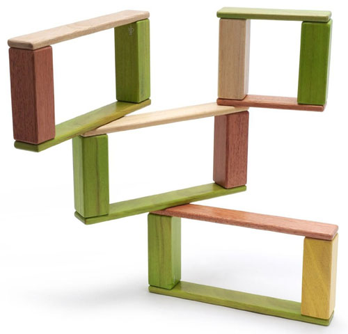 Tegu Jungle Endeavor 22 Piece Set