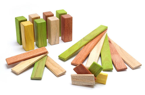 Tegu Jungle Endeavor 22 Piece Set