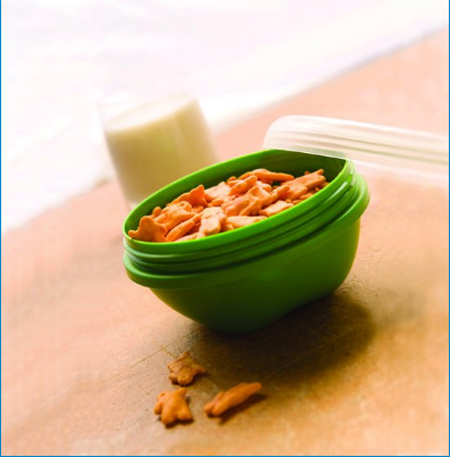 the small food storage bowl