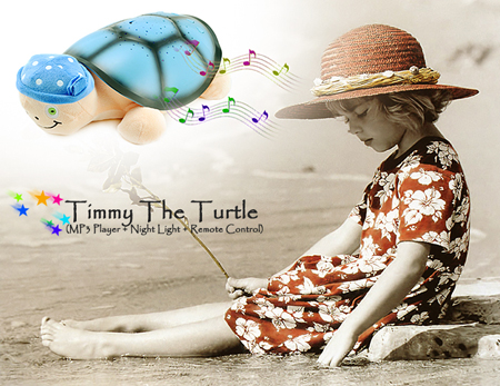 Timmy The Turtle