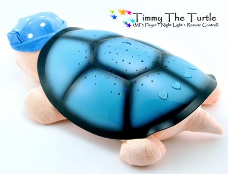 Timmy The Turtle