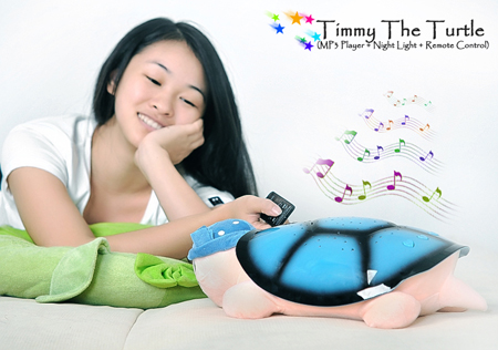 Timmy The Turtle