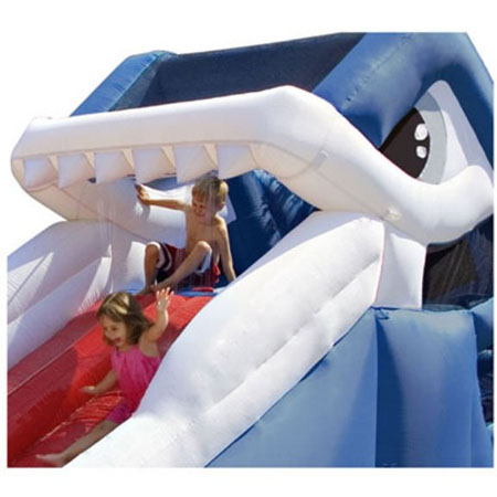 white shark inflatable slide